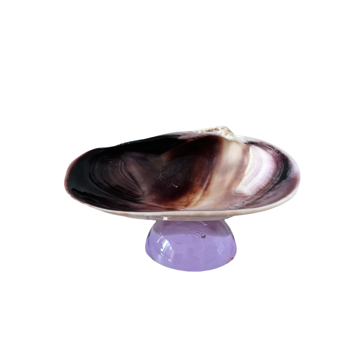 Natural Shell Colorful Glass Base Tray