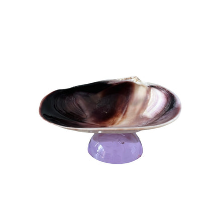 Natural Shell Colorful Glass Base Tray
