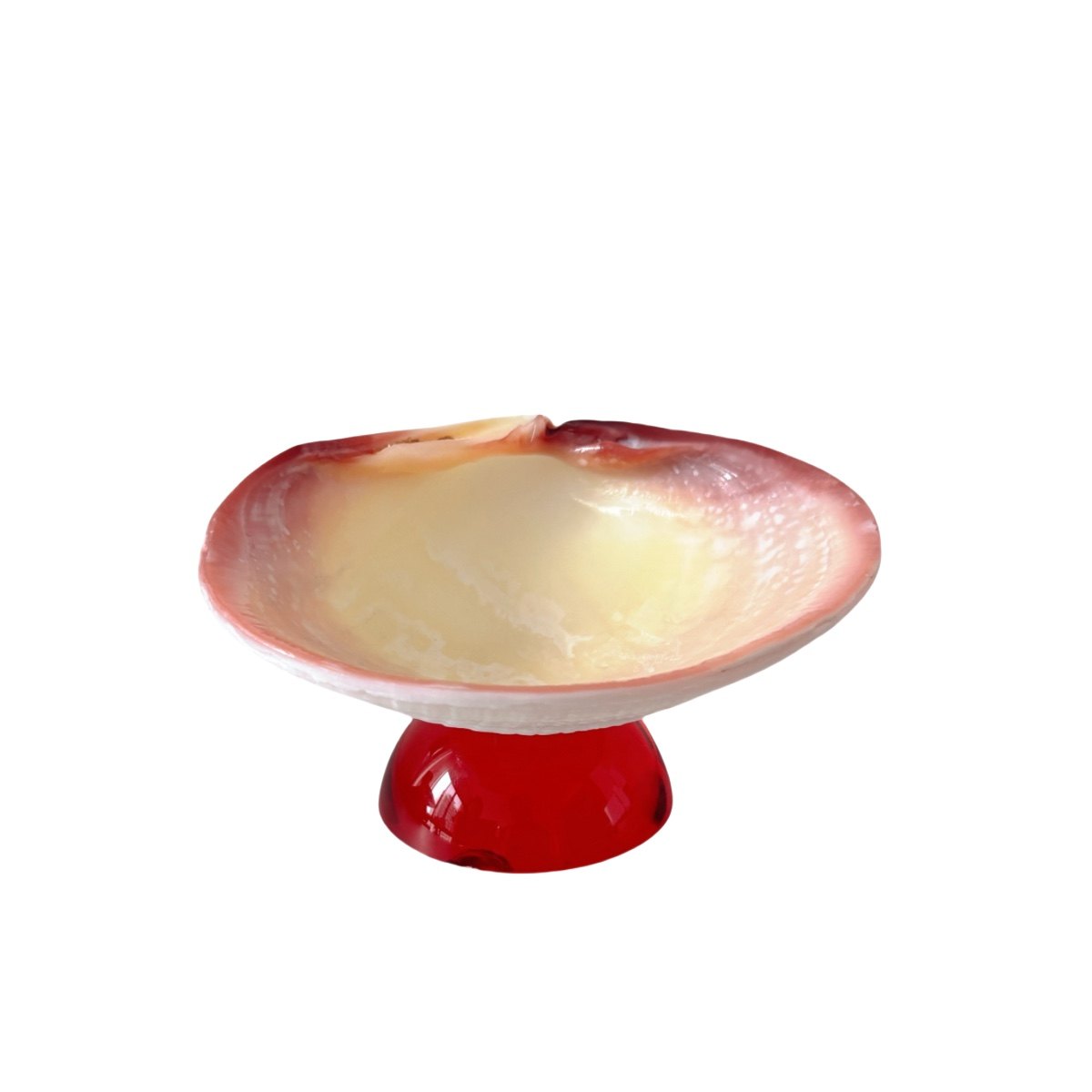 Natural Shell Colorful Glass Base Tray