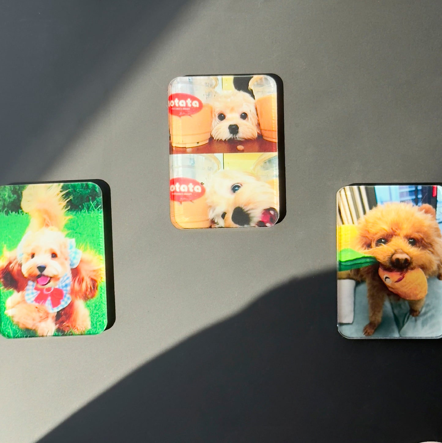 Custom Pet Photo Acrylic Magnetic Fridge Magnet