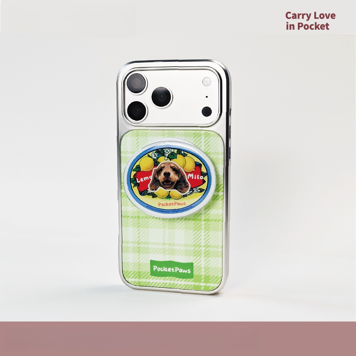 Custom Pet Photo Acrylic Phone Case