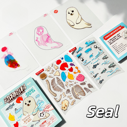 Anatomical Restoration 3D Sticker | 4 Cute Miniature Scenes