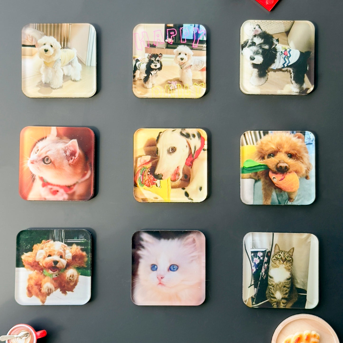 Custom Pet Photo Acrylic Magnetic Fridge Magnet