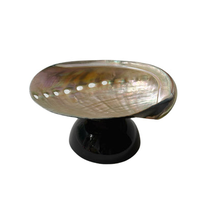 Natural Shell Colorful Glass Base Tray