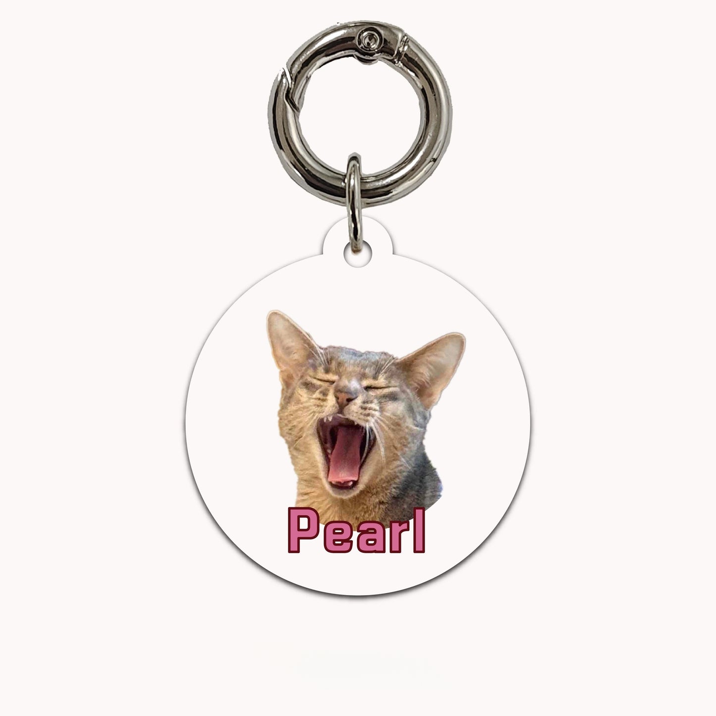 Custom Pet Photo Acrylic Pet Name Tag
