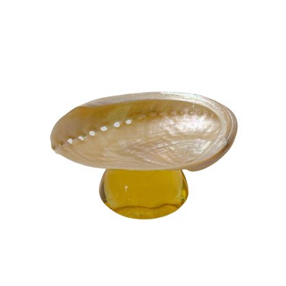 Natural Shell Colorful Glass Base Tray