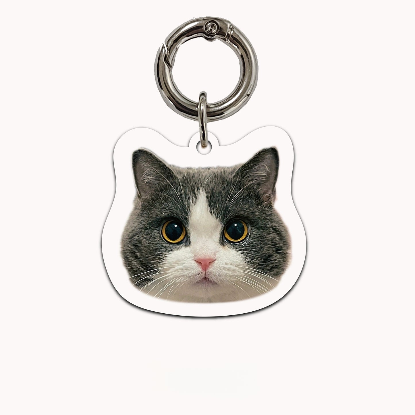 Custom Pet Photo Acrylic Pet Name Tag