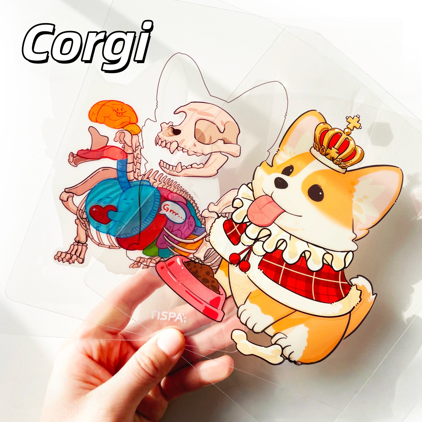 Anatomical Restoration 3D Sticker | 4 Cute Miniature Scenes