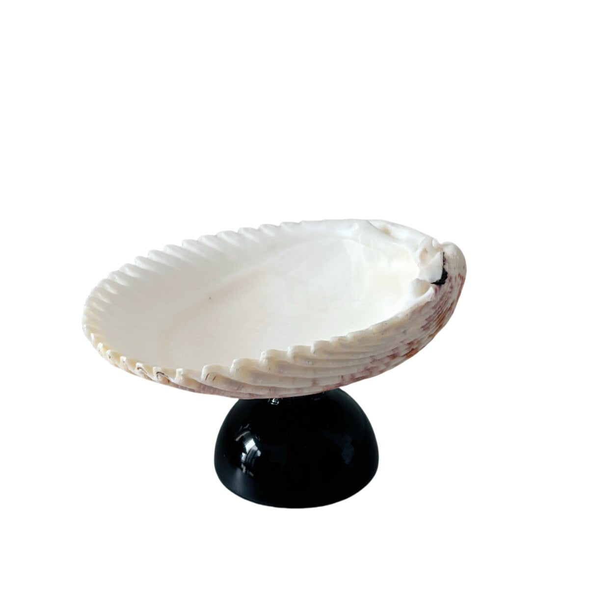 Natural Shell Colorful Glass Base Tray
