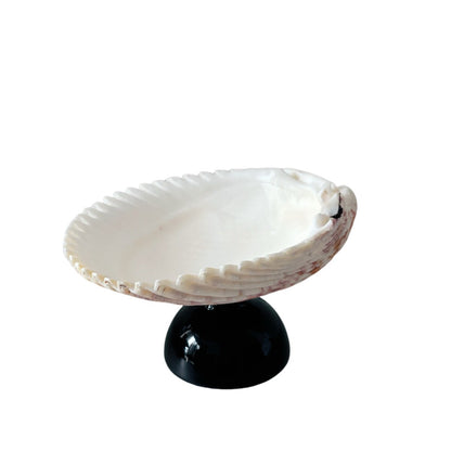 Natural Shell Colorful Glass Base Tray