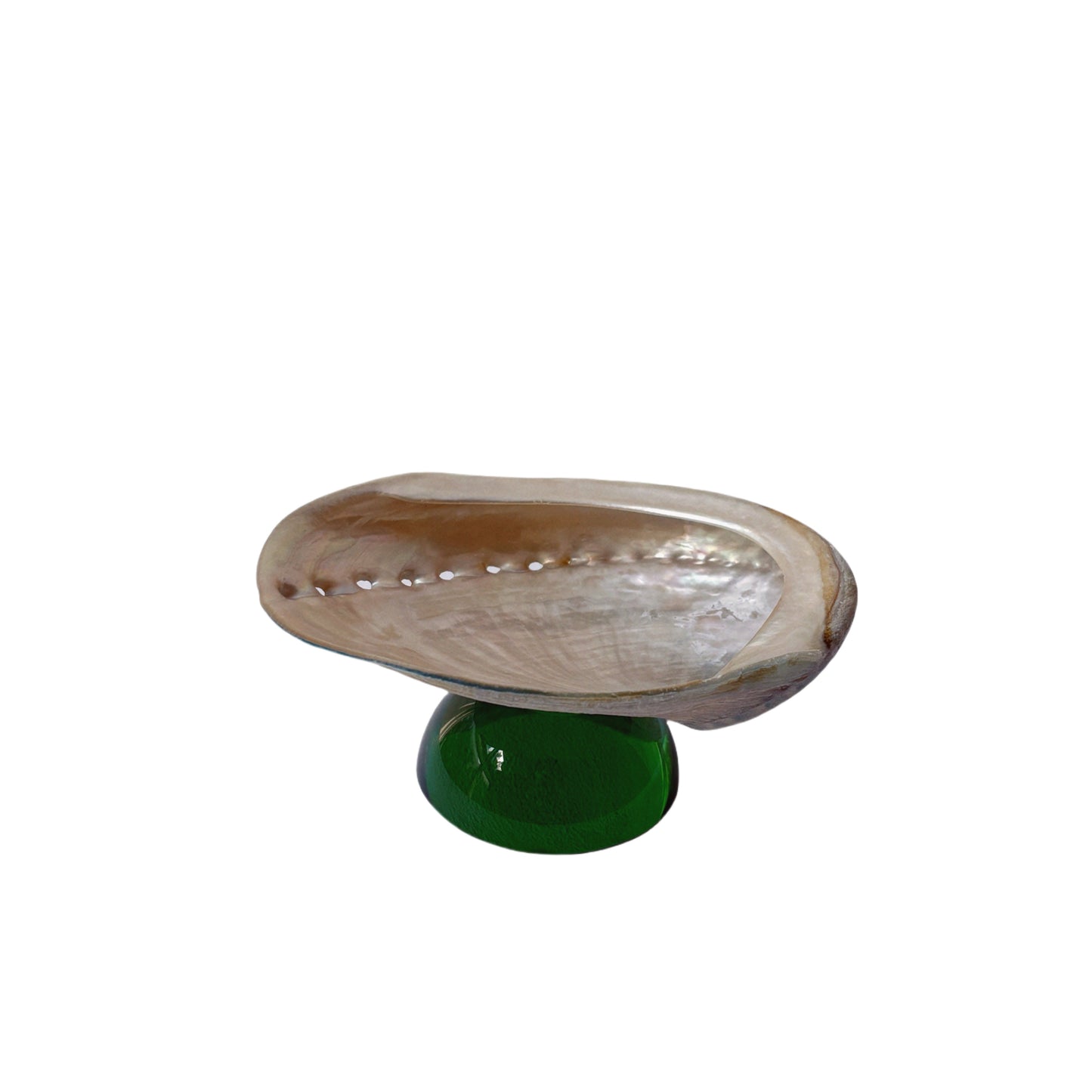 Natural Shell Colorful Glass Base Tray