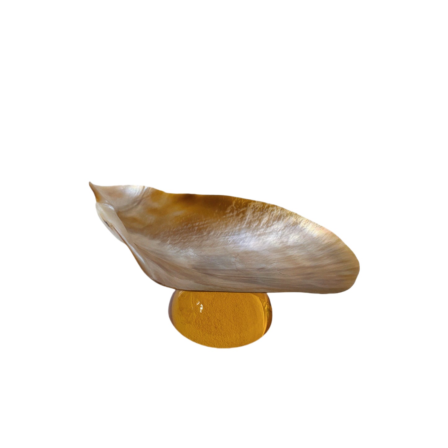 Natural Shell Colorful Glass Base Tray