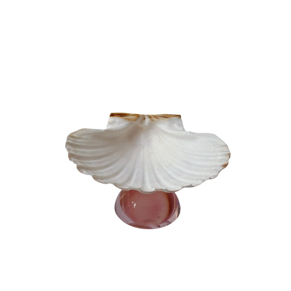 Natural Shell Colorful Glass Base Tray