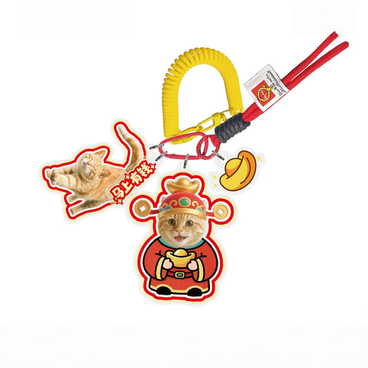 Custom Pet Photo Acrylic Bag Charm Keychain