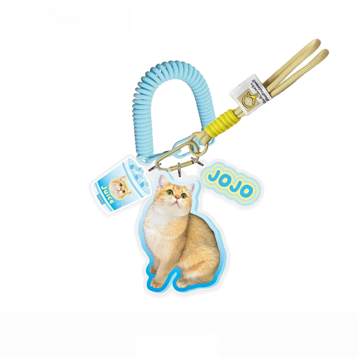 Custom Pet Photo Acrylic Bag Charm Keychain