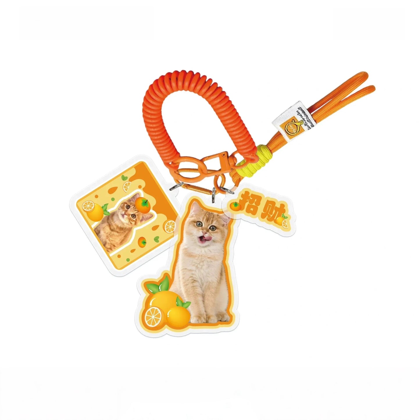 Custom Pet Photo Acrylic Bag Charm Keychain