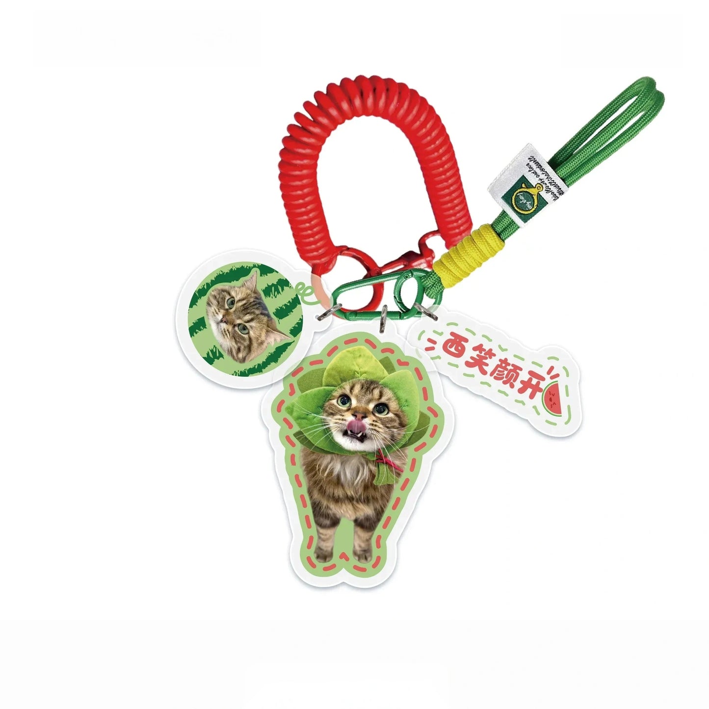 Custom Pet Photo Acrylic Bag Charm Keychain