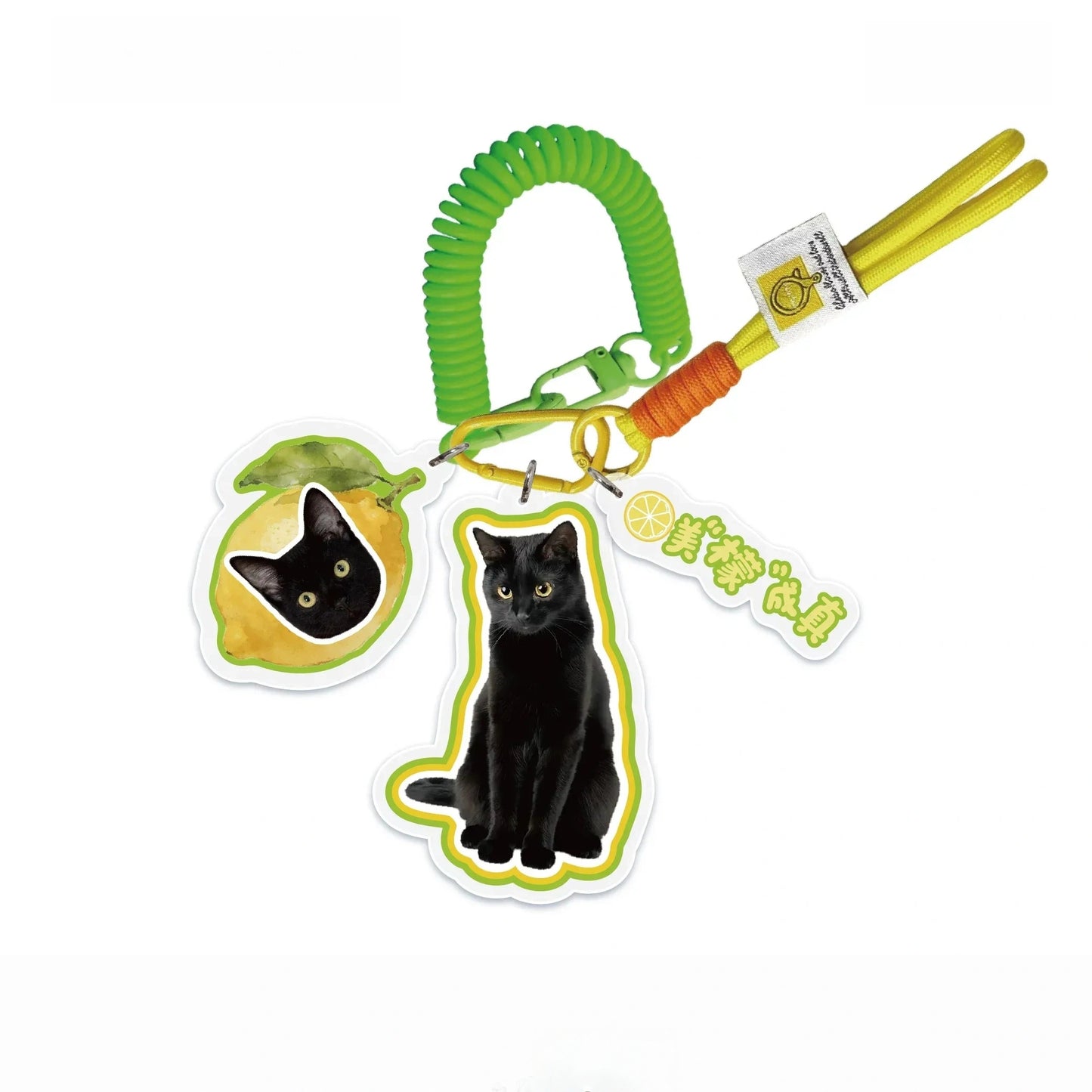 Custom Pet Photo Acrylic Bag Charm Keychain