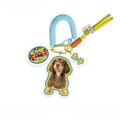 Custom Pet Photo Acrylic Bag Charm Keychain