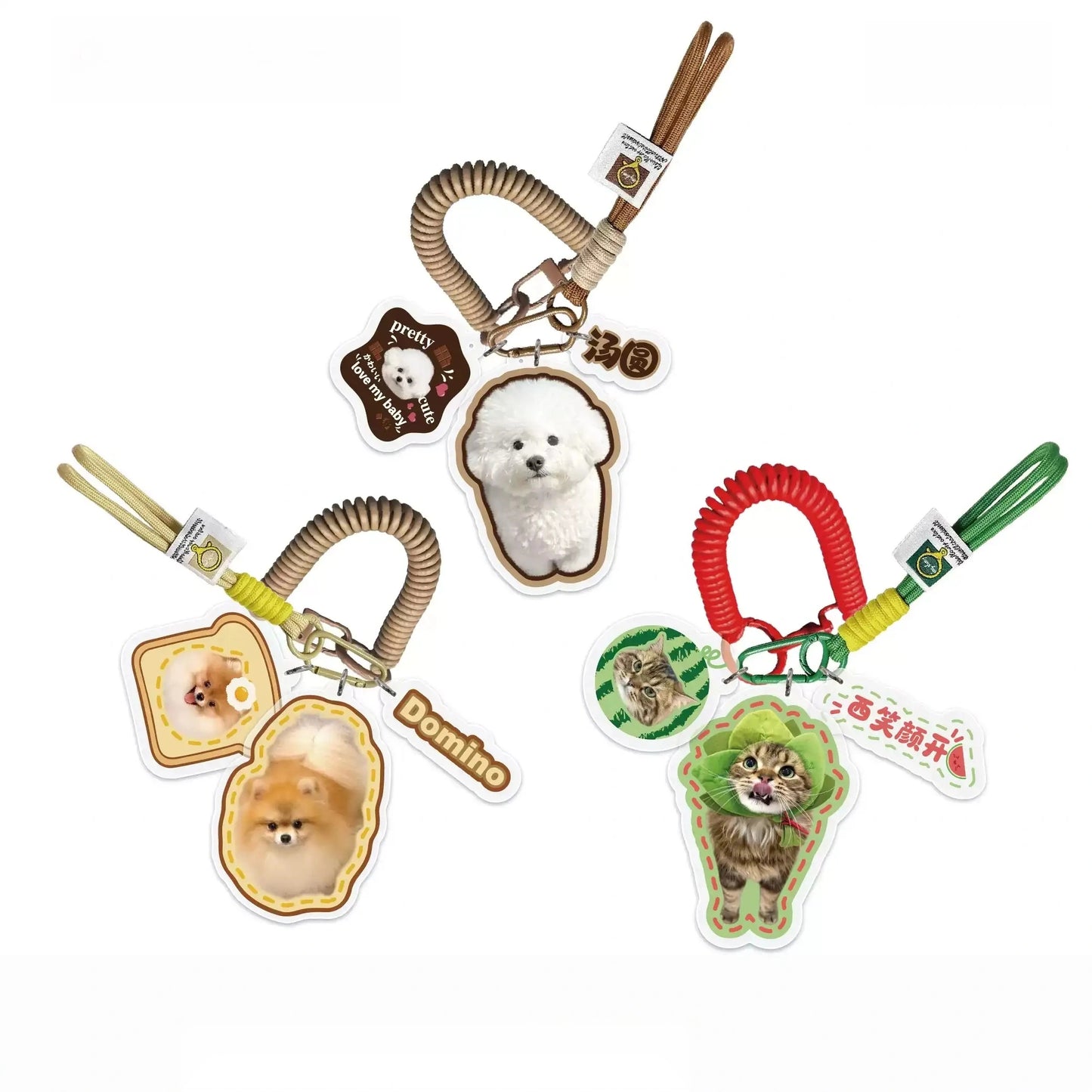 Custom Pet Photo Acrylic Bag Charm Keychain