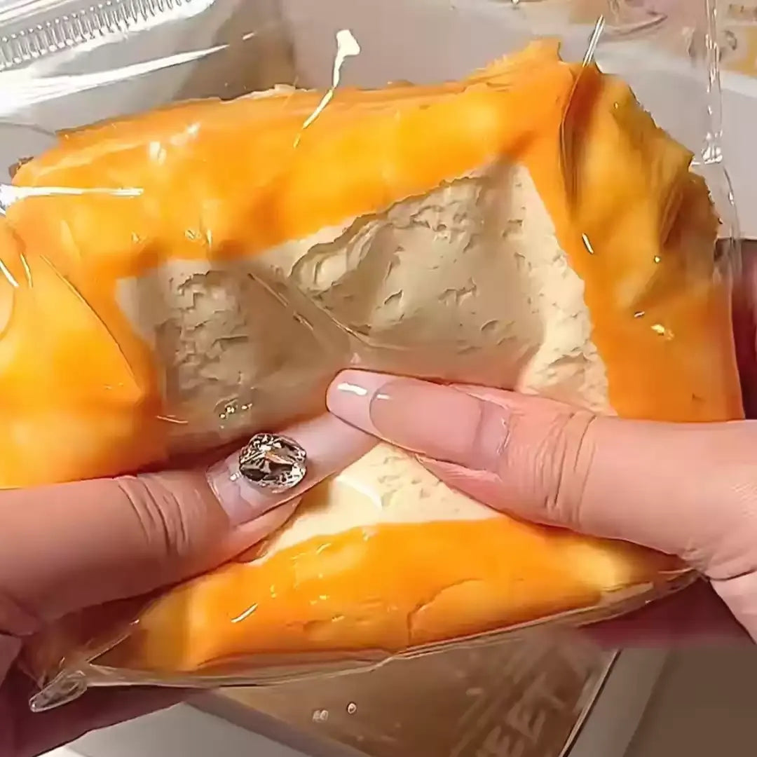 Double-Layer Toast Squishy