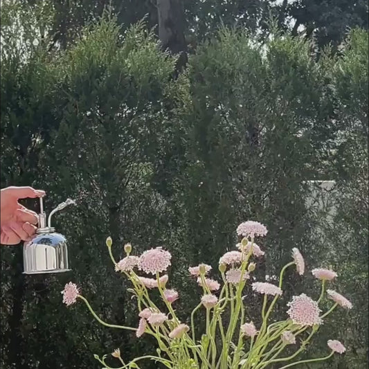Brass Spray Watering Can